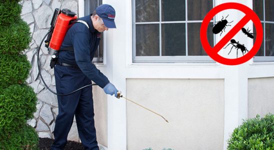 Gazipaşa Kene İlaçlama böcek ilaçlama ve haşere kontrolü — ilaclama-tr.com